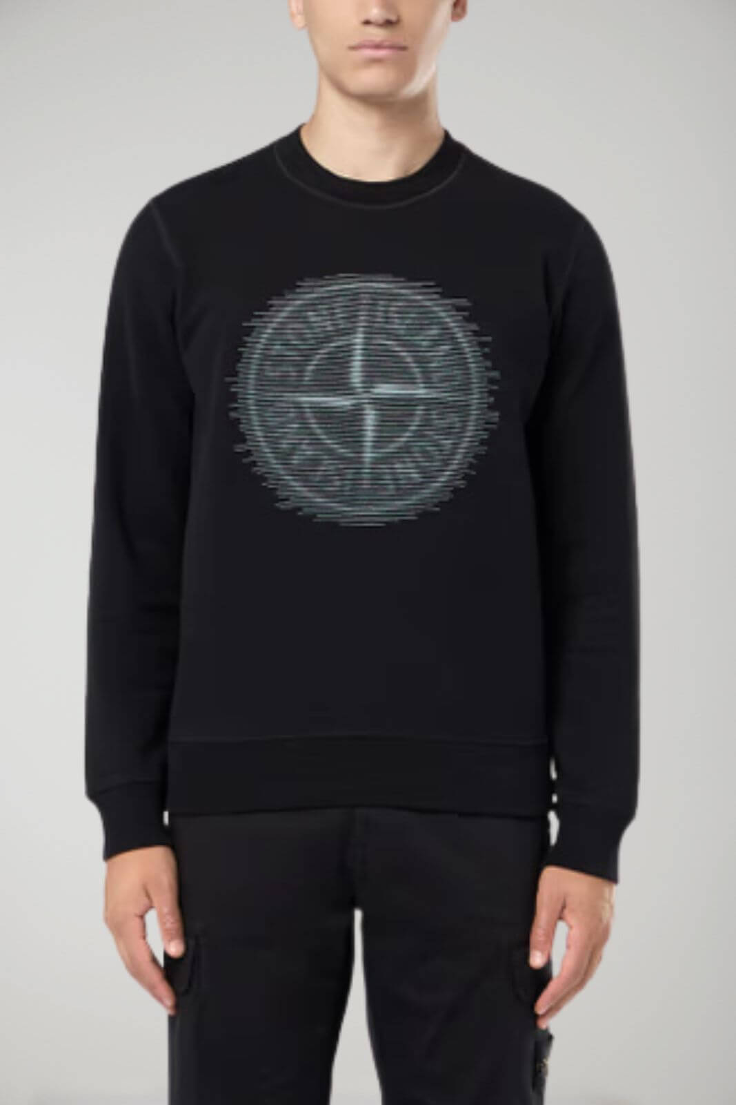 Stone Island felpa uomo BRUSHED ORGANIC COTTON FLEECE