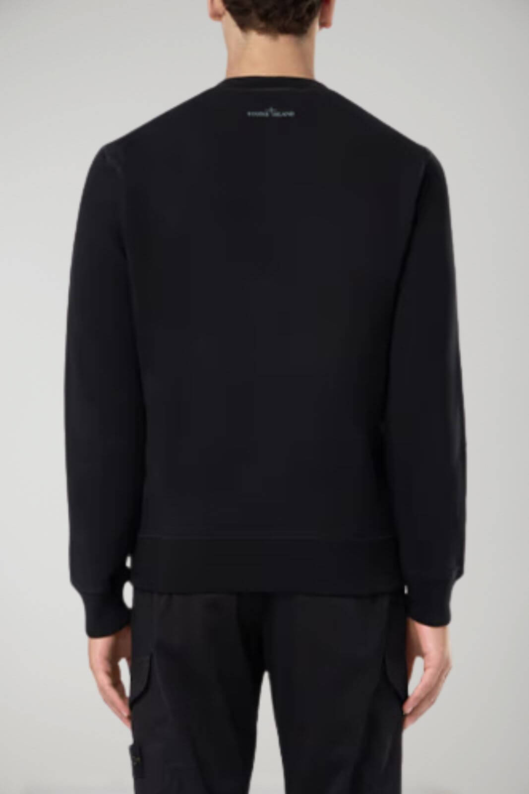 Stone Island felpa uomo BRUSHED ORGANIC COTTON FLEECE