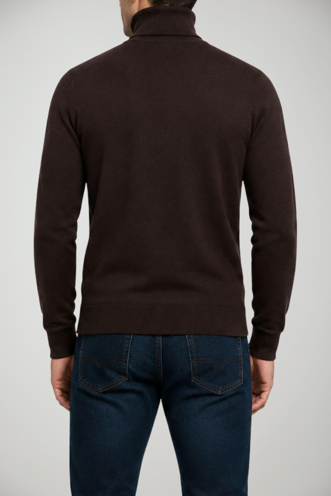 Alpha Studio Dolcevita Uomo in lana Slim fit / Marrone
