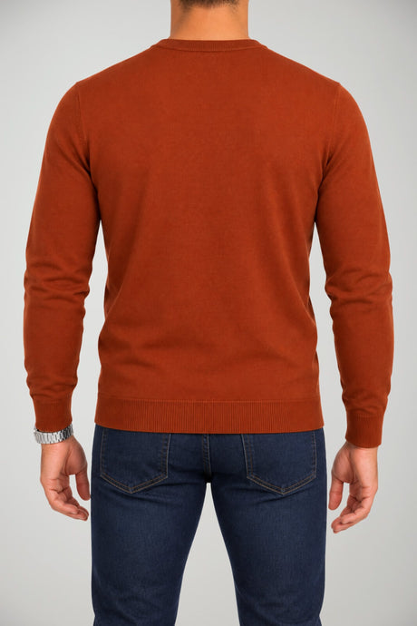 Daniele Fiesoli pull homme en laine mérinos extra-fine