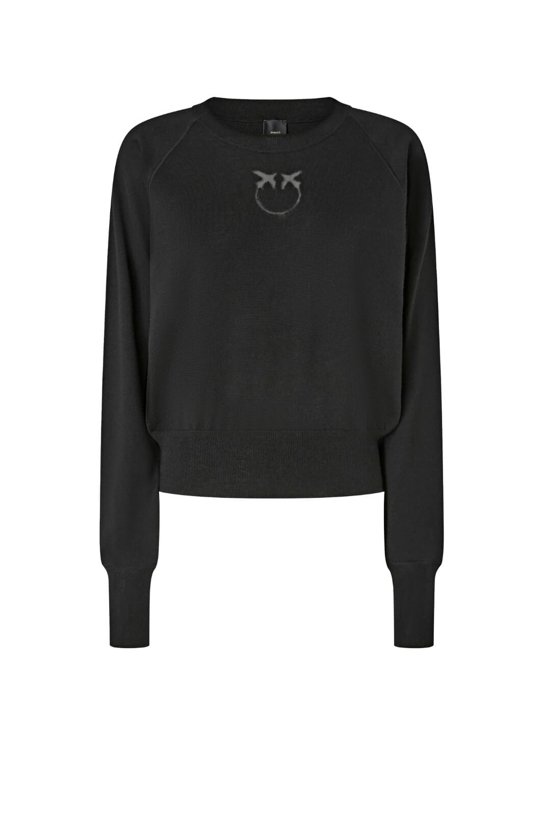 Maglia da donna Pinko a girocollo con logo in trasparenza Love Birds fronte