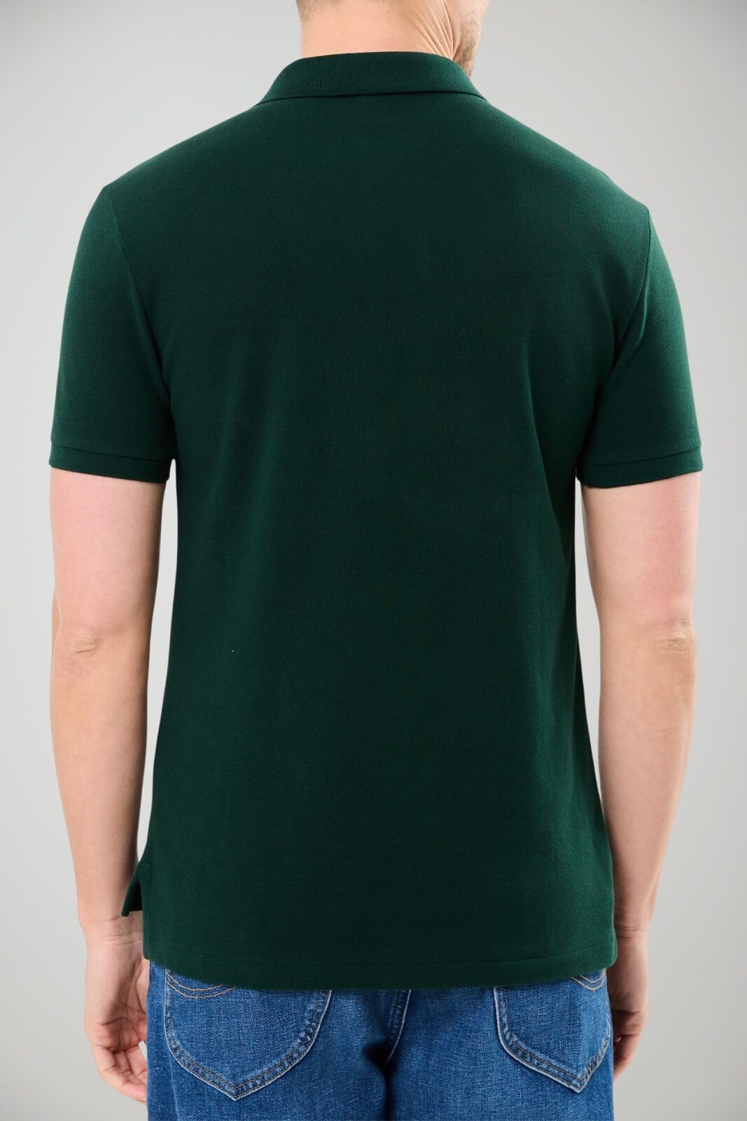 Polo Ralph Lauren Polo Uomo slim fit / Green