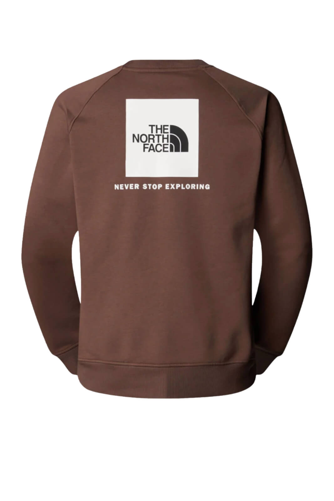 Felpa uomo The North Face raglan stampa box retro