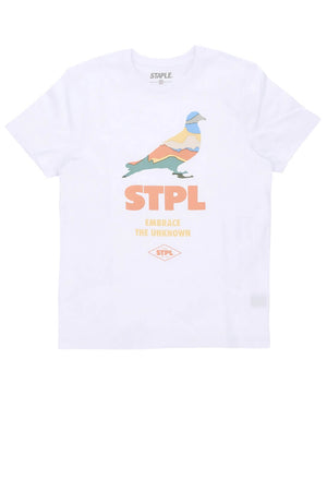 Camiseta básica para hombre HORIZON PIGEON