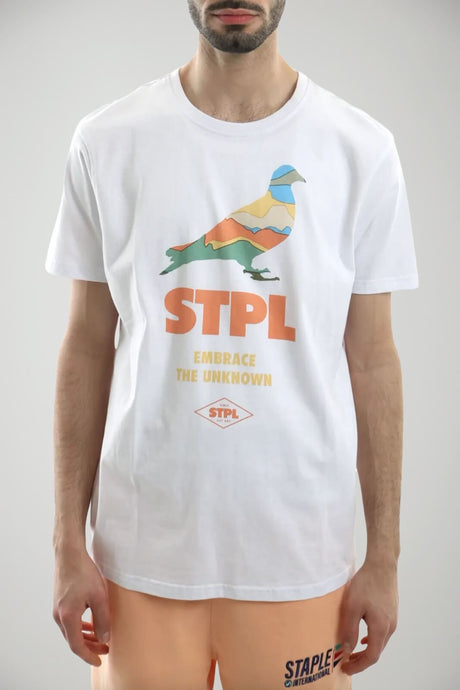 Staple T-Shirt Uomo HORIZON PIGEON