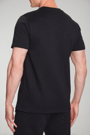 Polo Ralph Lauren Men's T-Shirt