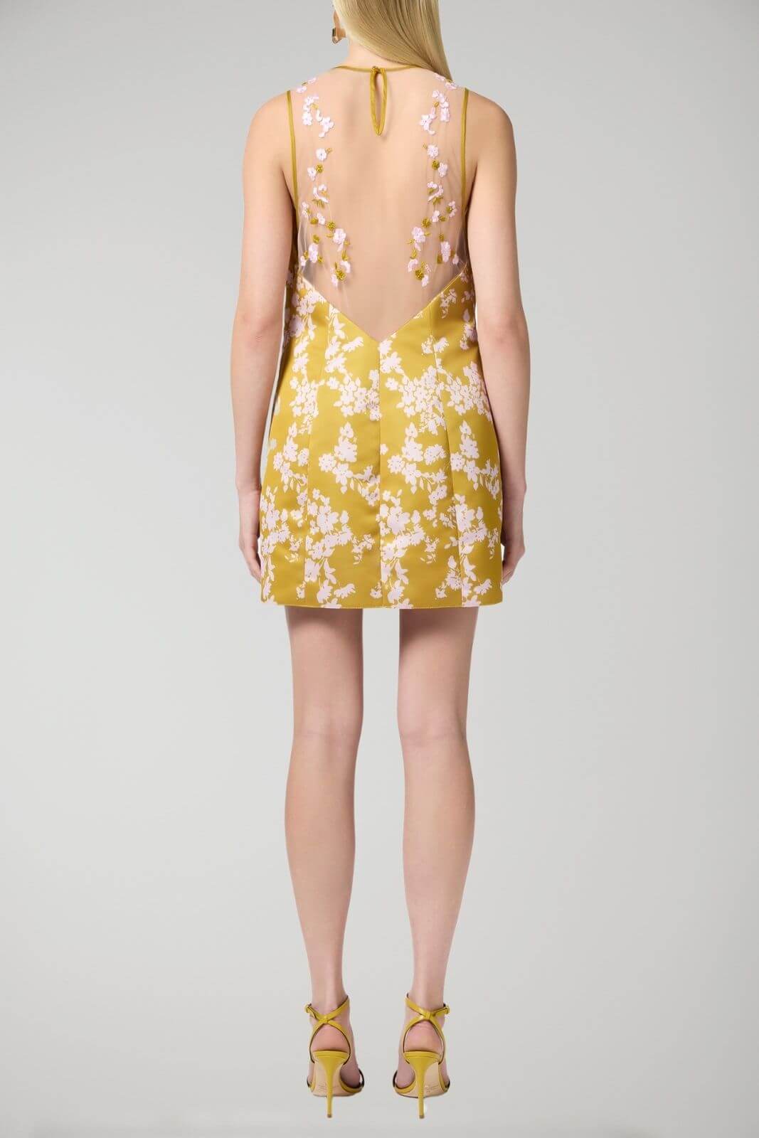 Elisabetta Franchi women's dress in printed duchesse and tulle