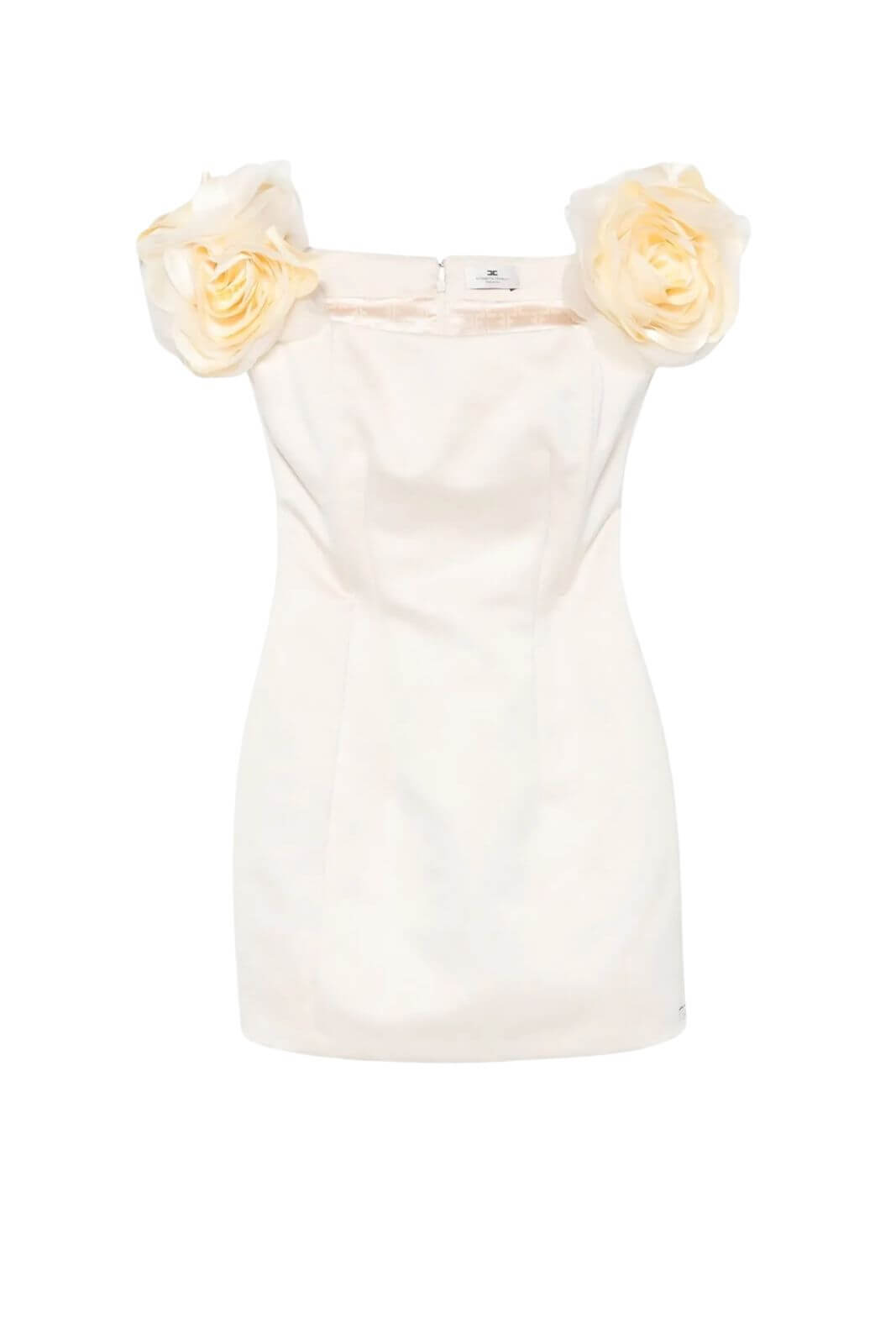 Elisabetta Franchi women's duchesse dress with floral appliques