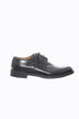 Zenith Scarpa Uomo stringata