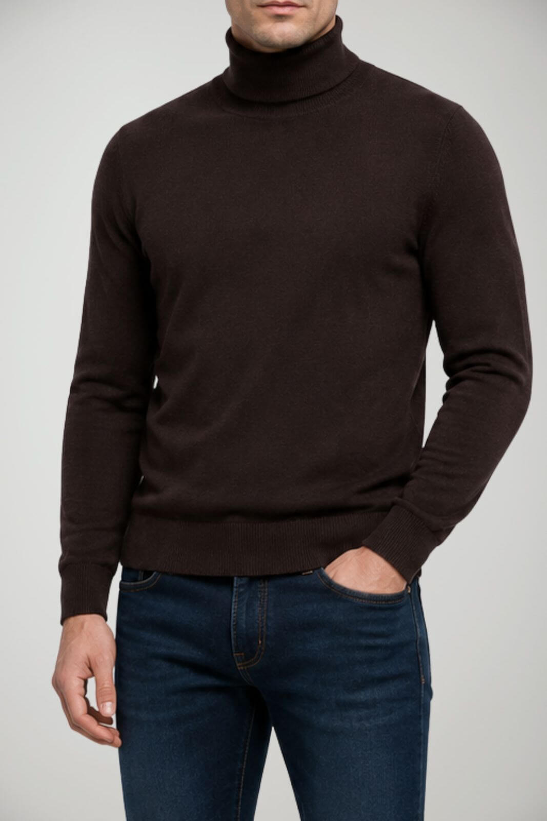 Alpha Studio Dolcevita Uomo in lana Slim fit / Marrone