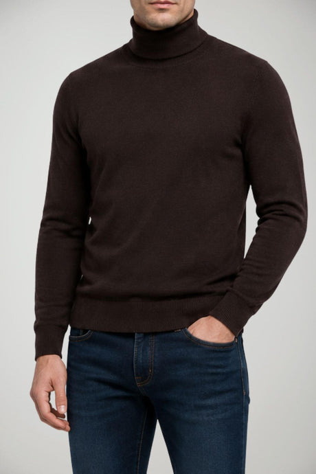 Alpha Studio Dolcevita Uomo in lana Slim fit / Marrone