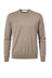 Maglia da uomo Cashmere Company in cotone a girocollo