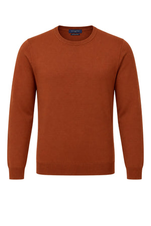 Daniele Fiesoli Maglia Uomo in lana merino extrafine