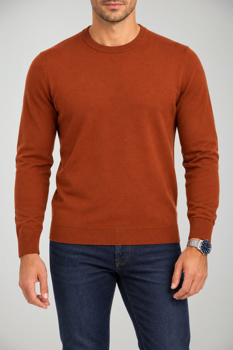 Daniele Fiesoli pull homme en laine mérinos extra-fine