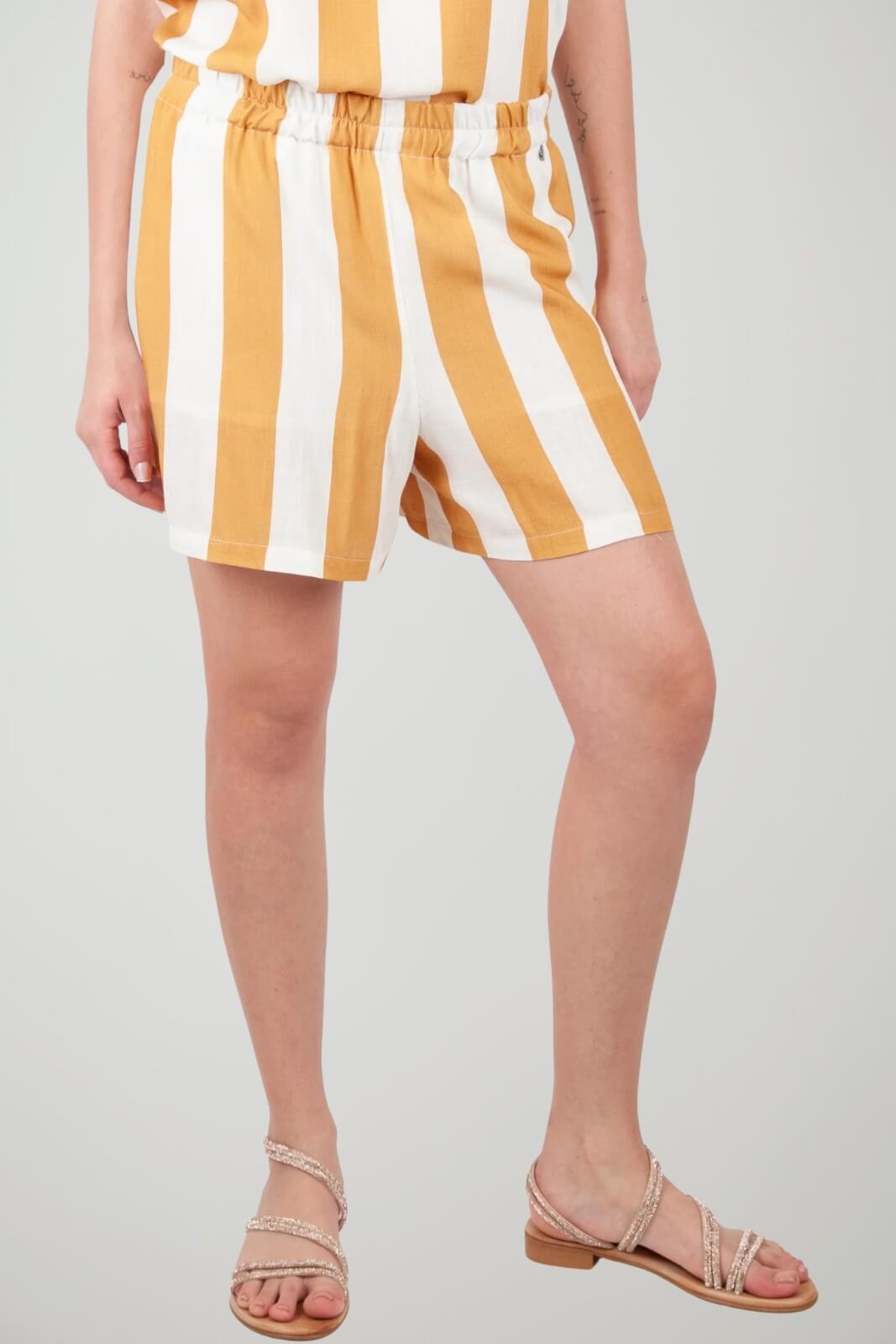 Dixie Bermuda Donna a Righe
