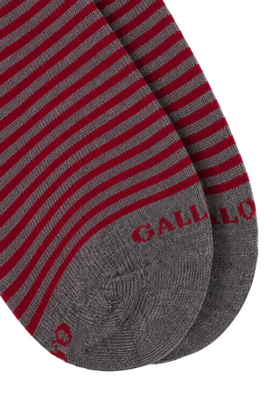 Gallo Calza Uomo riga Windsor / Amaranto