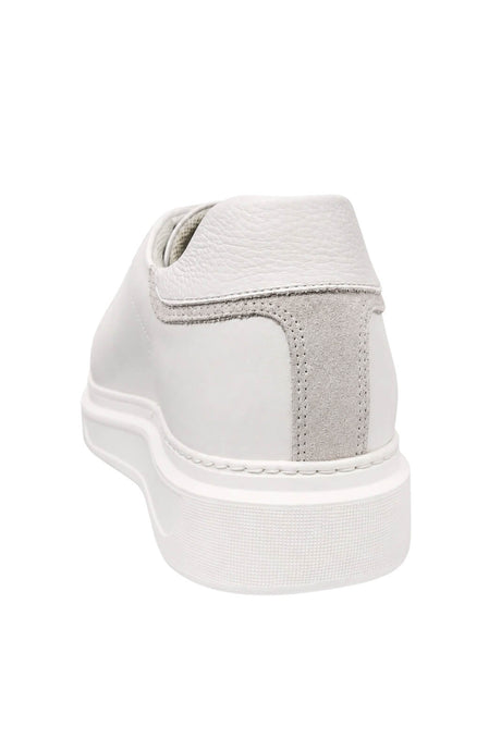 Harmont & Blaine Sneakers Uomo in pelle liscia