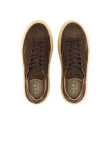 Hogan women's sneakers H STRIPES Suede