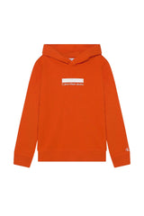 Sudadera infantil Calvin Klein con capucha y logotipo de bloques pequeños