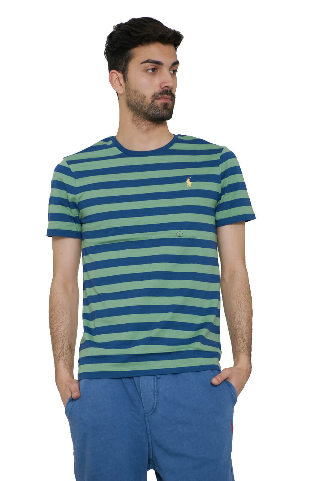 Polo Ralph Lauren Men's striped patterned t shirt