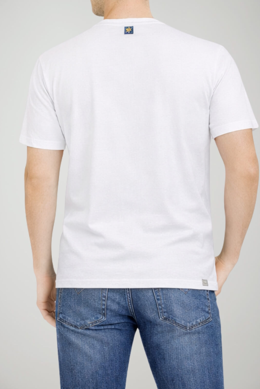 Us Polo Assn T-shirt Uomo in colorblock