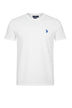 Us Polo Assn T-shirt Uomo in cotone