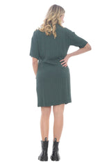 Nice Things Women's Dress with Lapel Collar